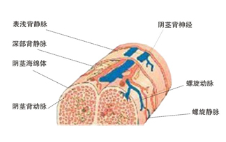 可提玛官方