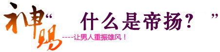 产品介绍