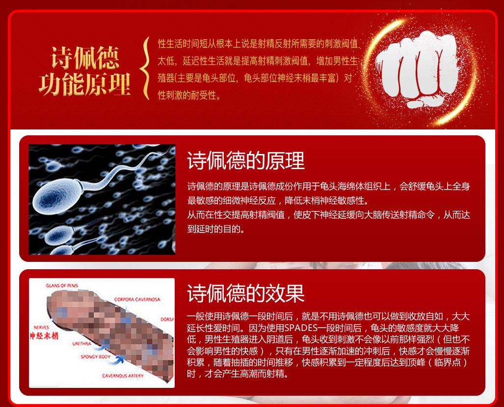 诗佩德官网